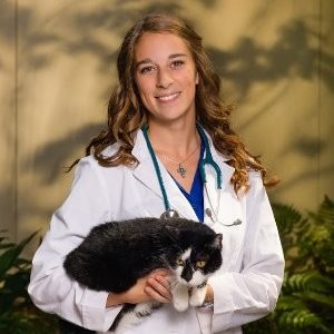 Katharine Kehrt - Veterinarian - Animal Medical Clinic | LinkedIn