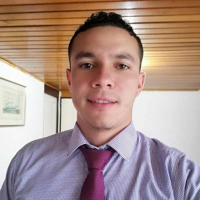 Jorge Luis Flores Herrera - ANALISTA CONTABLE Y FACTURACION ELECTRONICA -  COLTUGS | LinkedIn