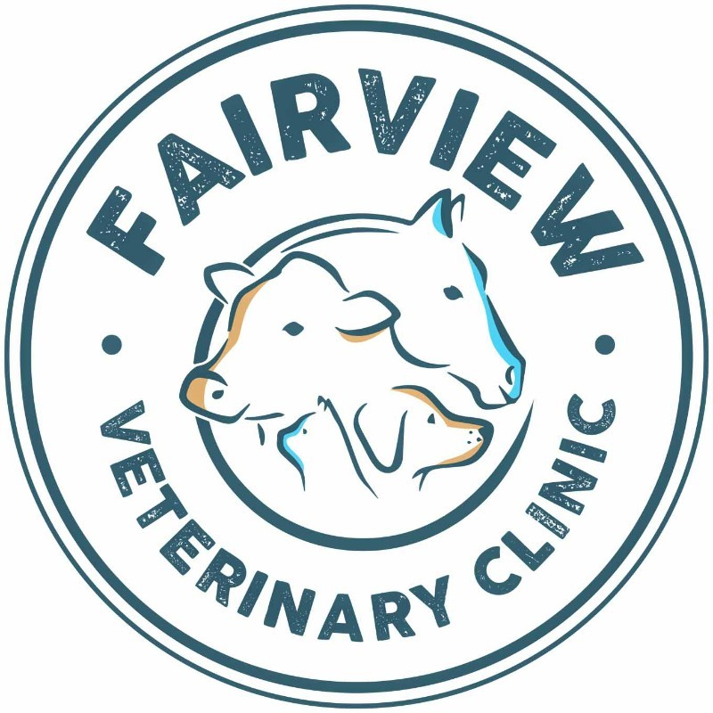 Amy Klauer - Owner/Veterinarian - Fairview Veterinary Clinic LLC | LinkedIn