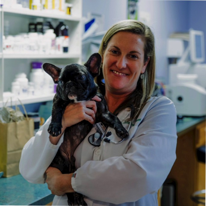 Jennifer Bruner - Medical Director - Lansing Veterinary Hospital | LinkedIn