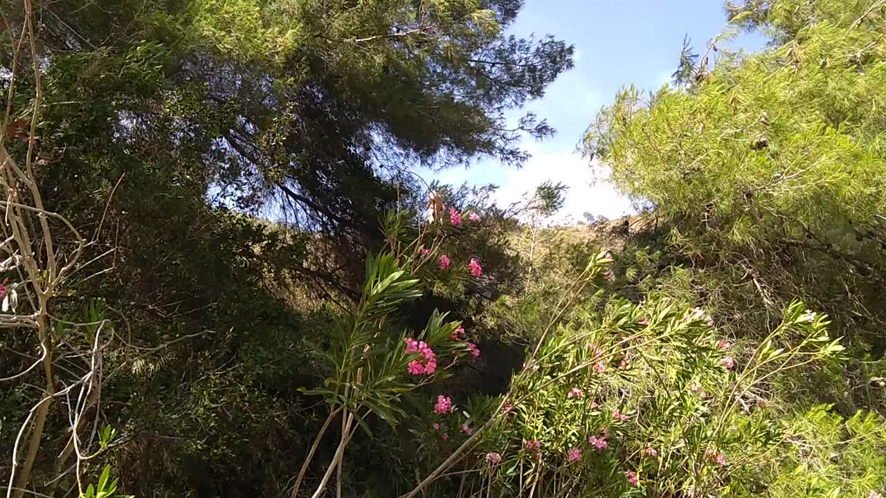 Mikko Mikonmaa on LinkedIn: #history Mikko Mikonmaa on LinkedIn: #history