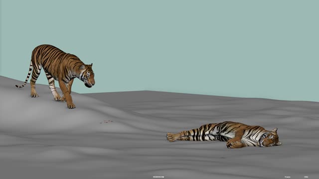 Monster Emporium Animation school on LinkedIn: #tiger #bengal #white # animation #onlinelearningplatform #student… | 24 comments