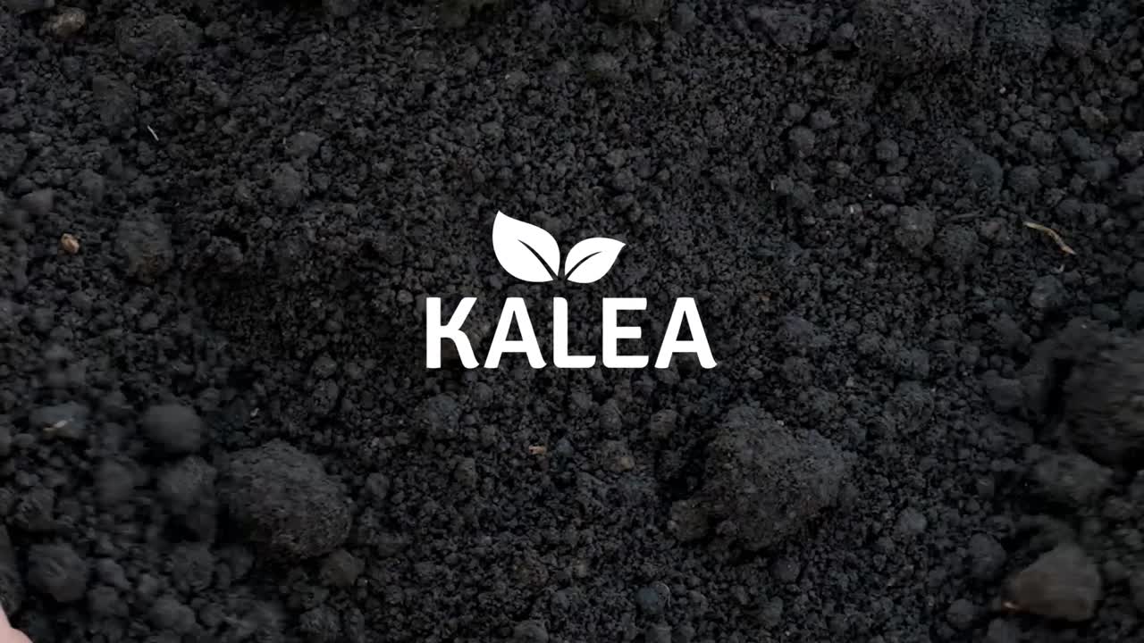 soilkind GmbH on LinkedIn: KALEA becomes soilkind soilkind GmbH on LinkedIn: KALEA becomes soilkind