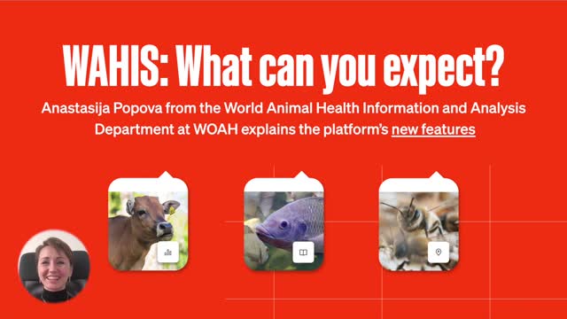 World Organisation for Animal Health sur LinkedIn : #wahis