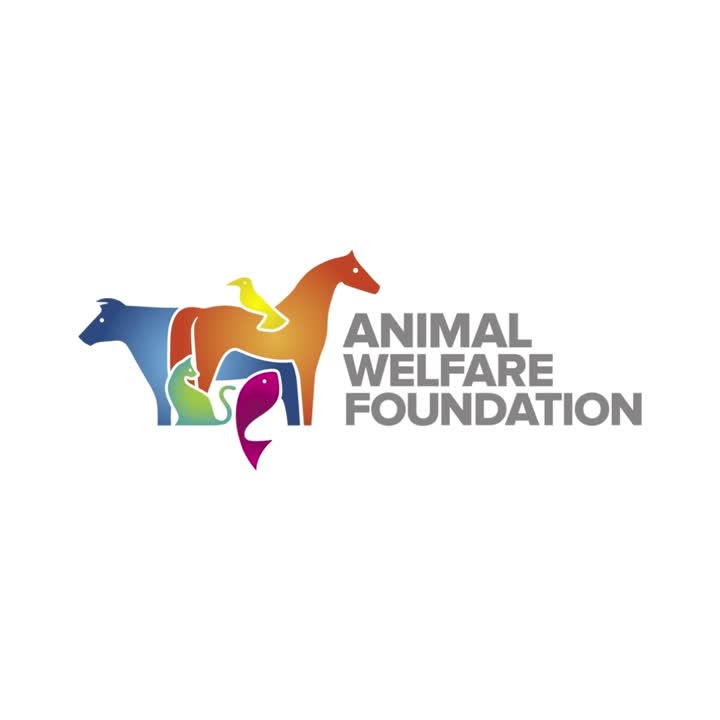 Animal Welfare Foundation | LinkedIn