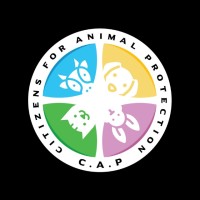 Citizens For Animal Protection Foundation | LinkedIn