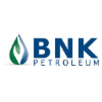 BNK Petroleum Inc. | LinkedIn