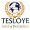 Tesloye Consultancy Services