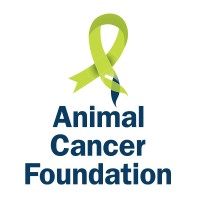 Animal Cancer Foundation (ACF) | LinkedIn