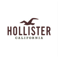 Hollister Co. | Linkedin