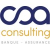 CSA Consulting