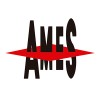 AMES - Sintered metallic components