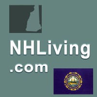 NHLiving.com free independent ezine. Social Media Marketing Business Plans for NH | LinkedIn