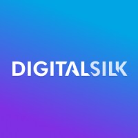 Digital Silkz - Top Website Development Companies in Delhi