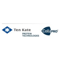 Fern Bourgogne grave Ten Kate Protein Technologies | LinkedIn