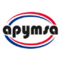 Auto Partes Y Mas Sa De Cv Linkedin