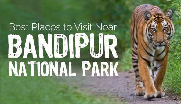 Amazing Places to See near the Tiger Hub of Bandipur National Park