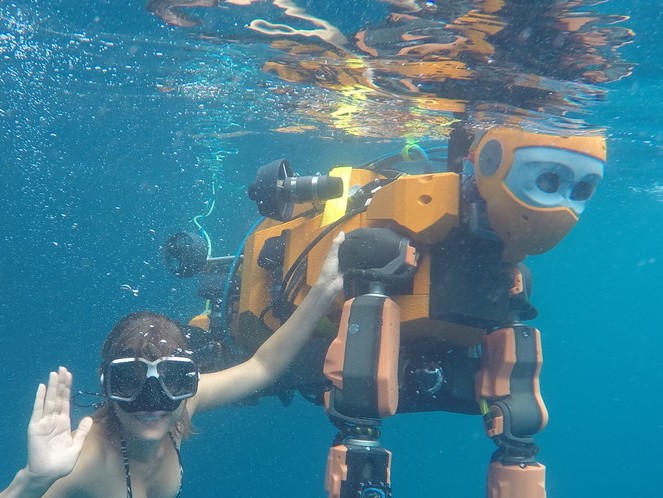 Six-legged, surprisingly social, and under the sea: my journey working with robots