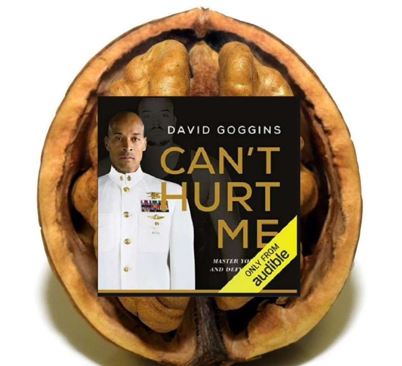 Biggest Lessons from David Goggins - Can't Hurt Me