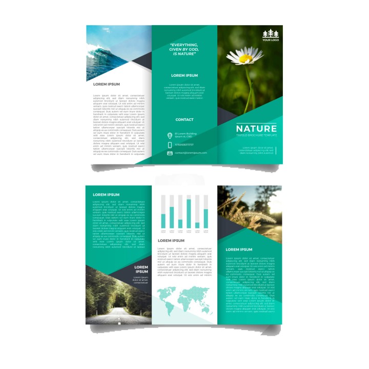 Brochure Templates for Your Organization