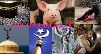 QURANIC WORD HARAM (حرام) PROHIBTIS DEAD, BLOOD, SWINE MEAT, ANIMAL  SACRIFICE, MOON GOD, KAABA & ITS RITUALS