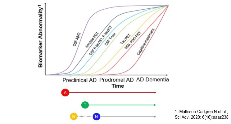 The ATX(N) classification system and its potential use in clinical practice and therapy development for Alzheimer’s disease