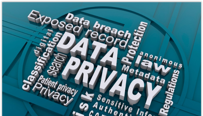 Navigating Privacy: Data Privacy Trends 2024 – Ensuring Confidentiality in the Digital Age