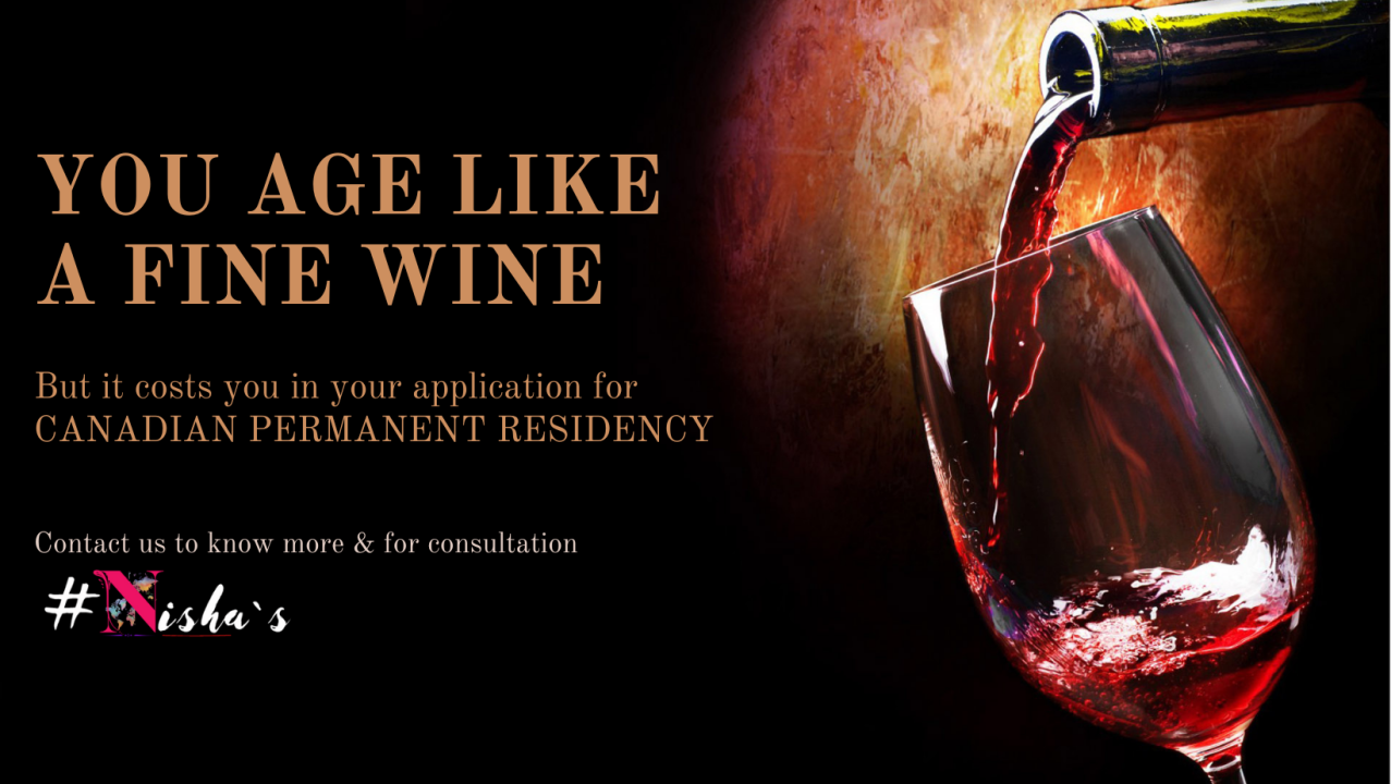 Aging Like Fine Wine The Guide To Cellaring Serving Aged 44% OFF Aging Like Fine Wine The Guide To Cellaring Serving Aged 44% OFF