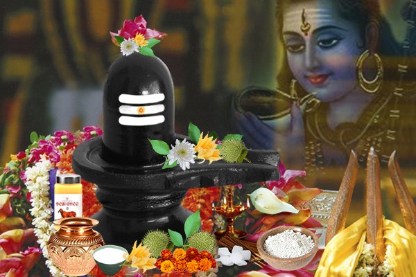 Significance of Offerings made to Shiva Lingam?
