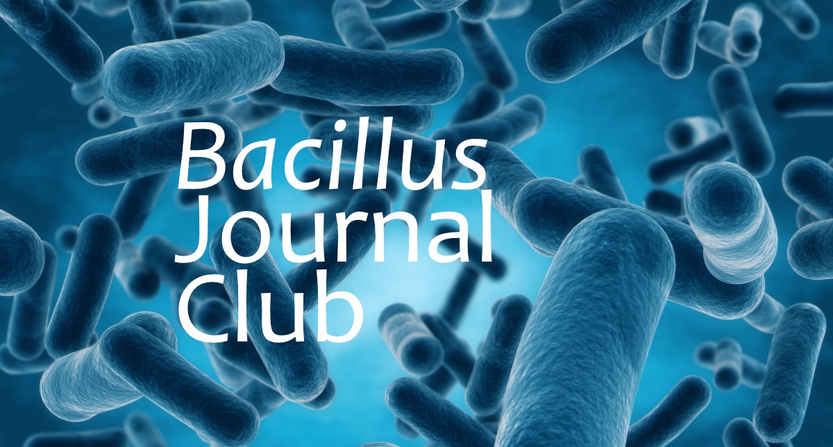 Use of Bacillus thuringiensis Cry3Aa to deliver therapeutic proteins to cells