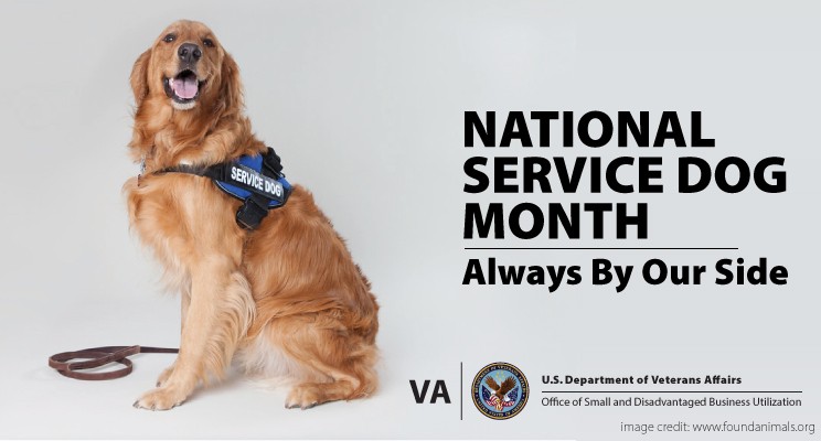 National Service Dog Month: Always by Our Side