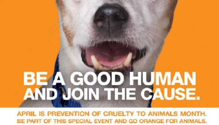 April is National Prevention of Cruelty to Animals Month