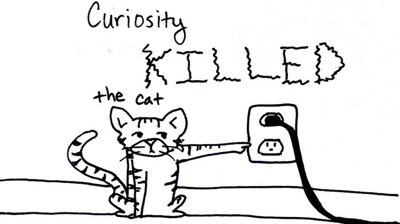 Curiosity Killed The Cat...But Could Transform Your Career
