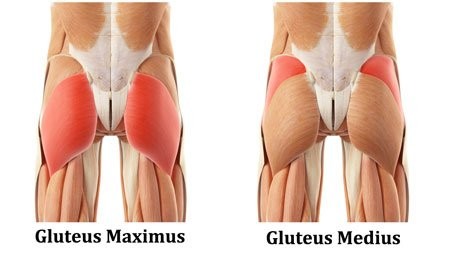 Why glute strength for runners is important