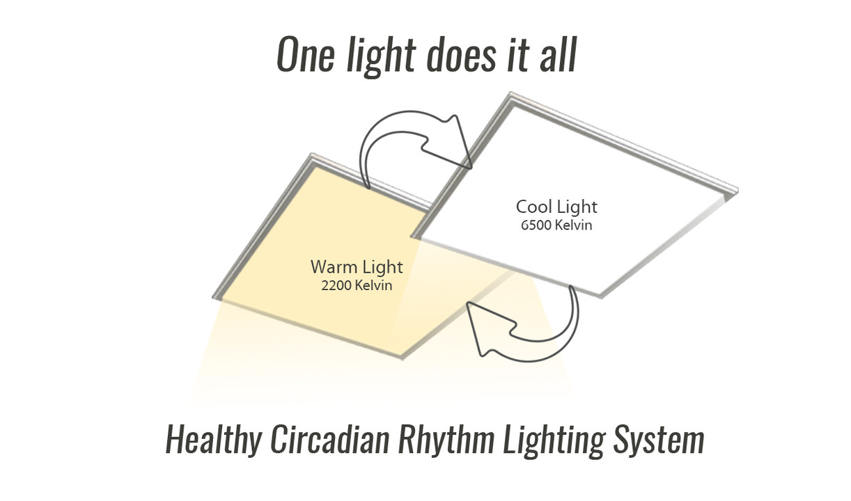 What Is A Healthy Circadian Rhythm