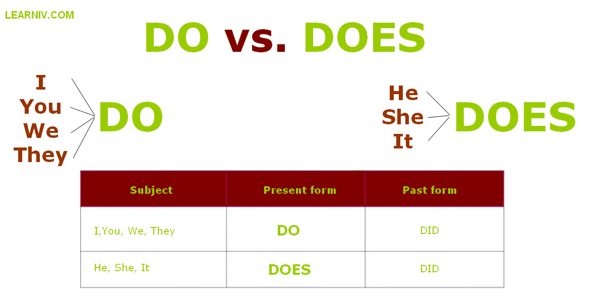 DO vs DOES – the difference between DO and DOES