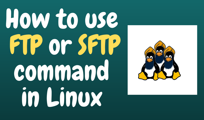 Afbrydelse Tåget Mig How to use FTP or SFTP in Linux command line interface