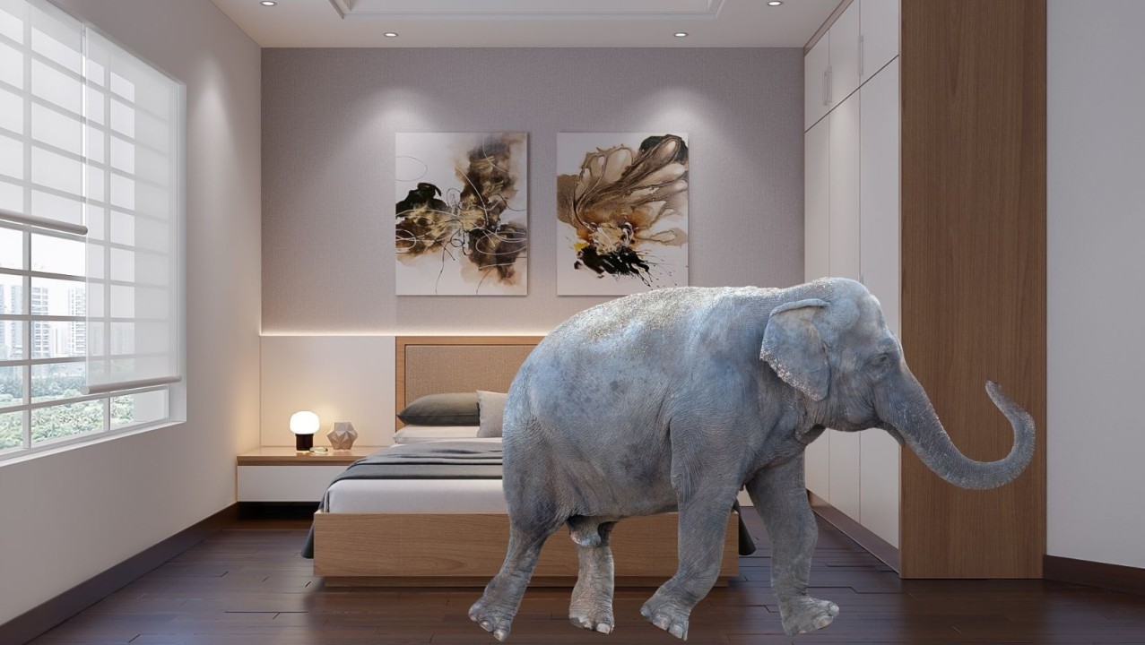 How To Deal With Elephants In The Room
