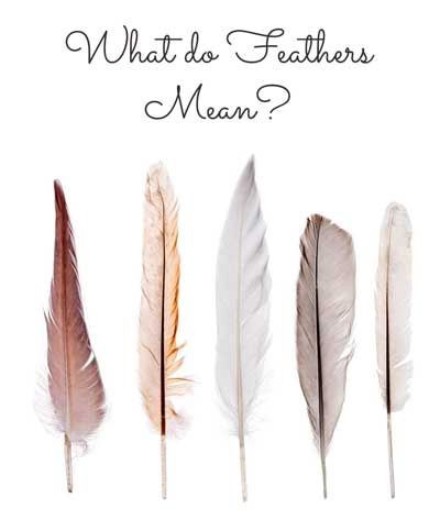 What Does Finding a Feather Symbolize