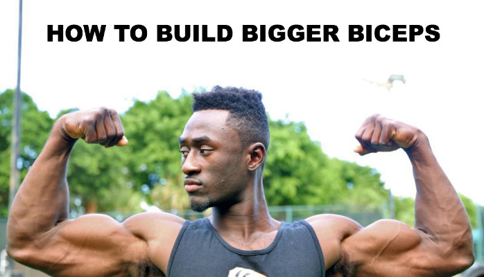 How to Build Bigger and more Defined Arms