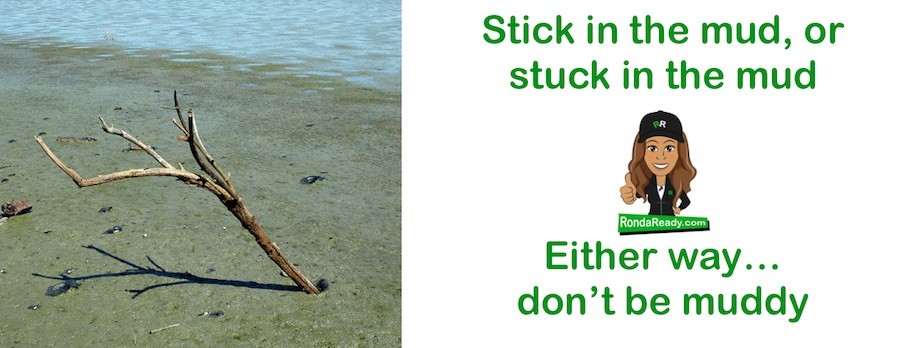 Whether you're a stick in the mud or stuck in the mud...it's all muddy.