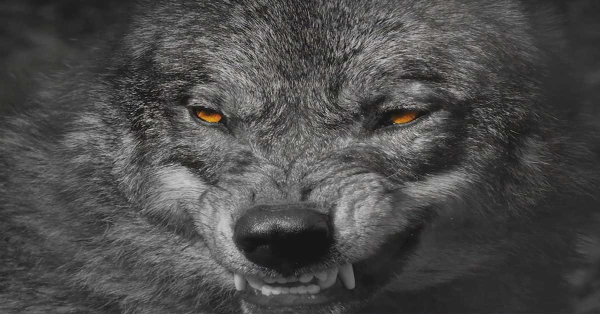 Jefferson County Court Agrees with Hunter Nation: Wisconsin DNR Jefferson County Court Agrees with Hunter Nation: Wisconsin DNR