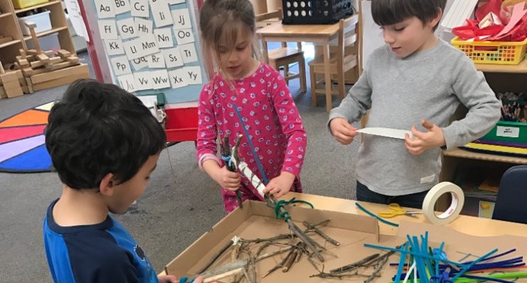 Problem-Based Learning in the Preschool Setting