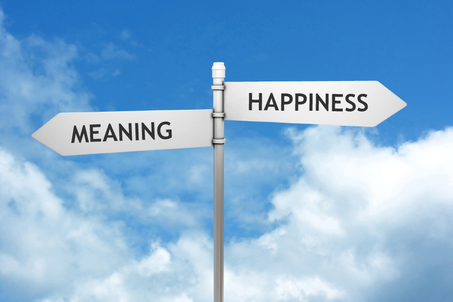 A happy life vs A meaningful life