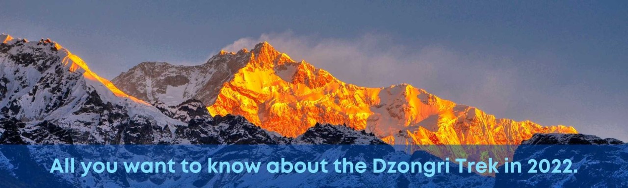 Here is all you want to know about the Dzongri Trek in 2022.