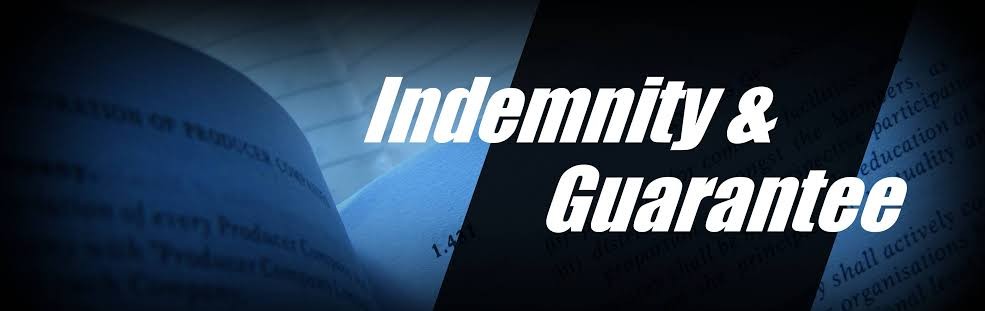 UNDERSTANDING THE SUBTLE DIFFERENCE BETWEEN A CONTRACT OF GUARANTEE AND A CONTRACT OF INDEMNITY