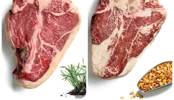 What's the Difference? Grass Fed vs. Corn Fed Beef