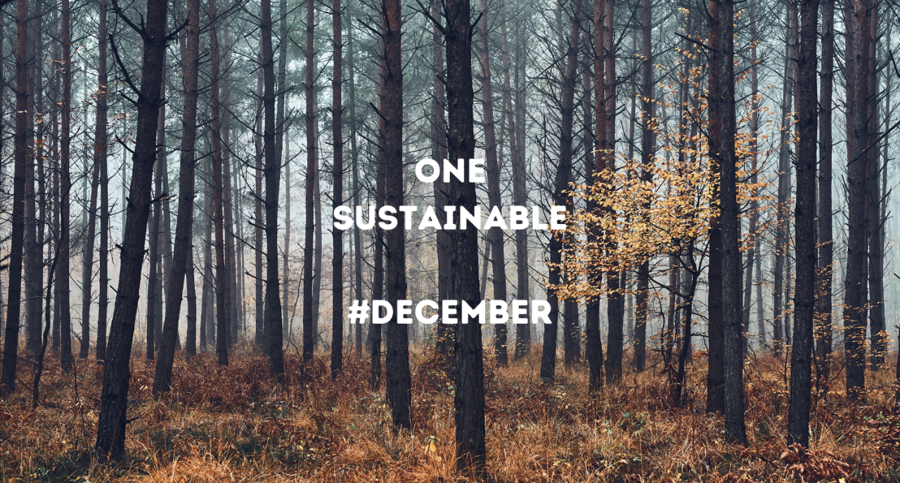 10 Things to Consider for One Sustainable December 