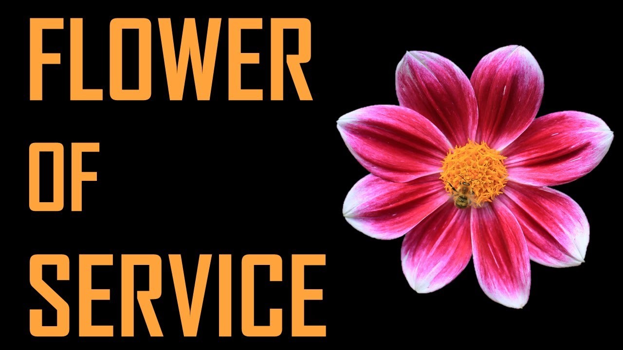 The Flower Of Service