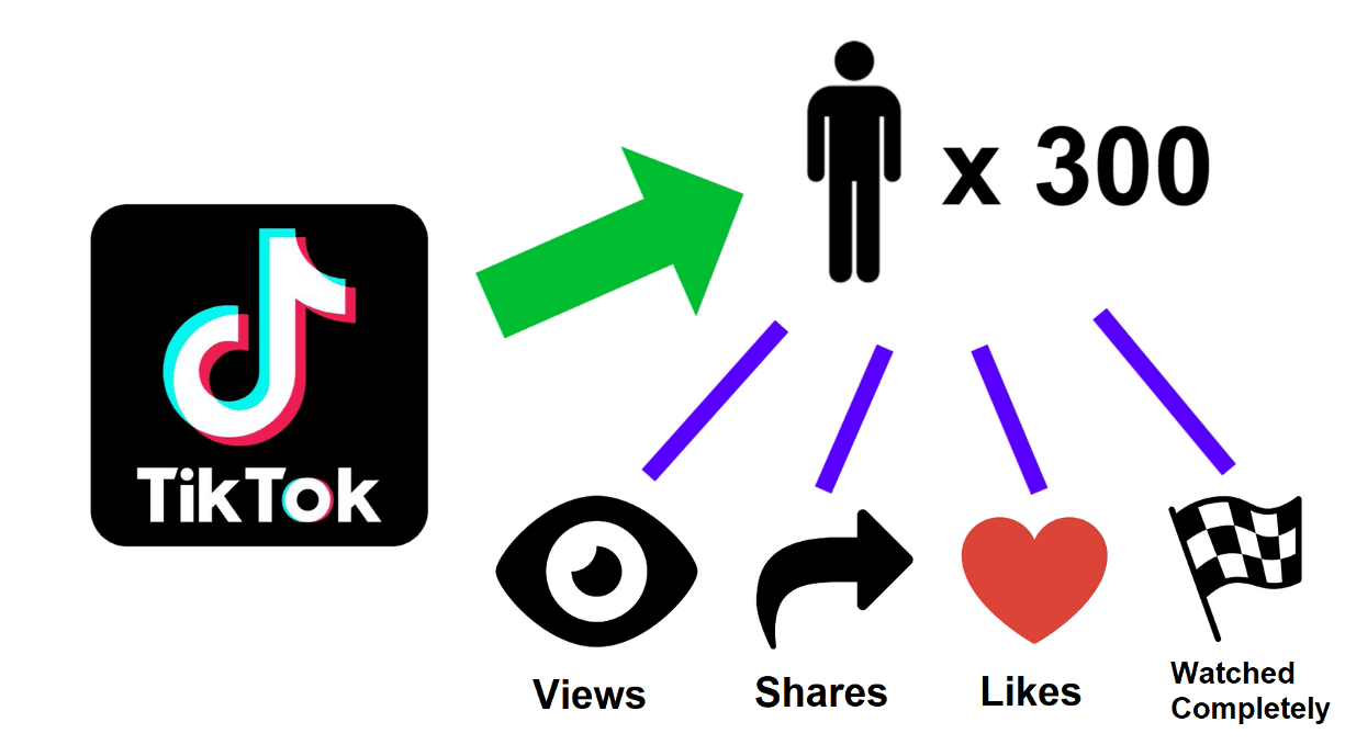 How TikTok decides if your Video is a Viral Hit or a Flop